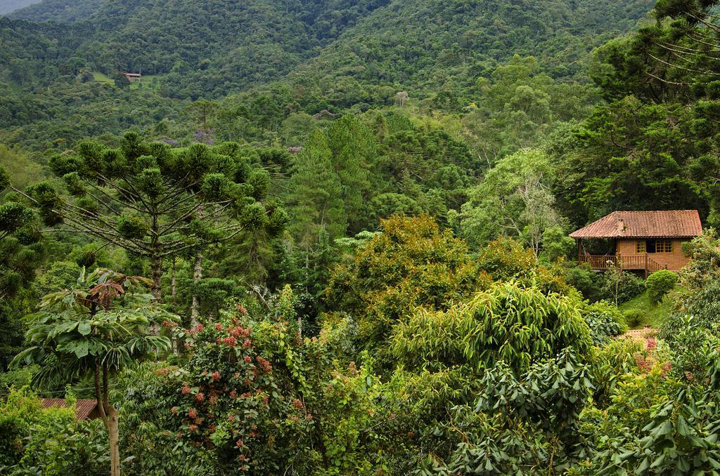 Pousada Das Araucárias Hotel Visconde De Maua Exterior foto